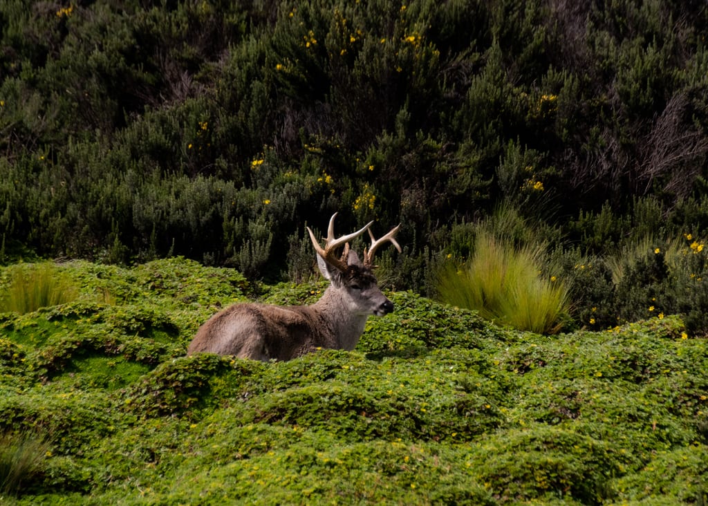 Costa Rica vs Ecuador: which photo destination first?